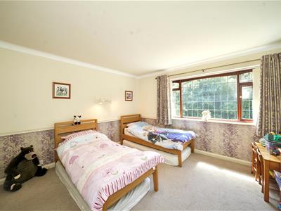 Picture 12
